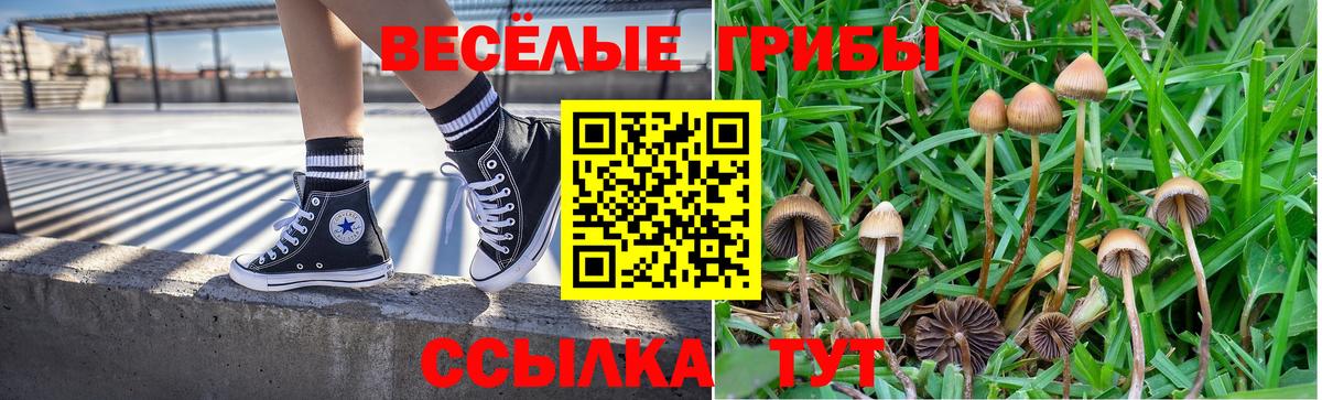 купить наркоту  Вход с VPN  Можга  Галлюциногенные грибы GOLDEN TEACHER  Псилоцибиновые грибы Magic Shrooms 